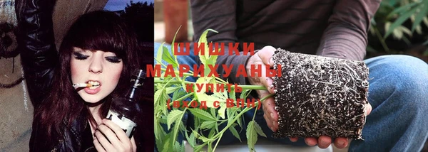 прущие крисы Осинники