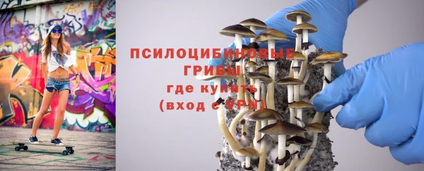 первитин Осташков